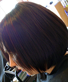 Formal and Bridal Hair